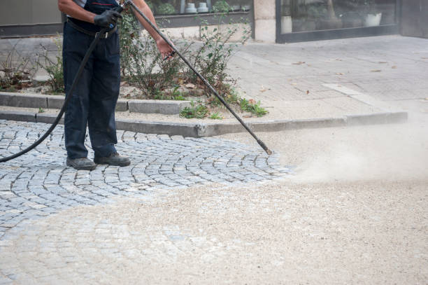 Reliable Bon Secour, AL Pressure washing Solutions